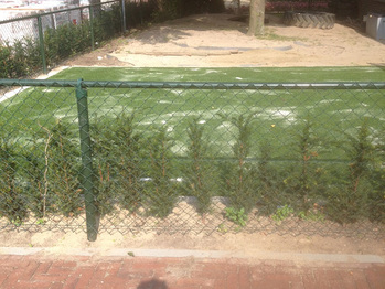 Speelruimte met weinig onderhoud in Venlo