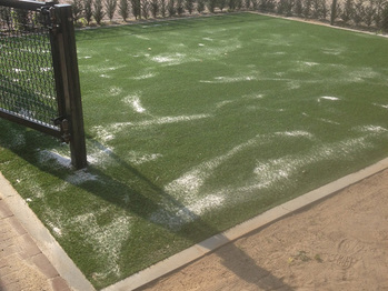 Speelruimte met weinig onderhoud in Venlo