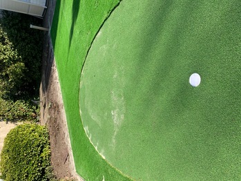 Puttinggreen in achtertuin Venlo